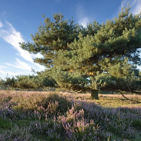 Tinyhouse Nano Semesterbostad Nunspeet